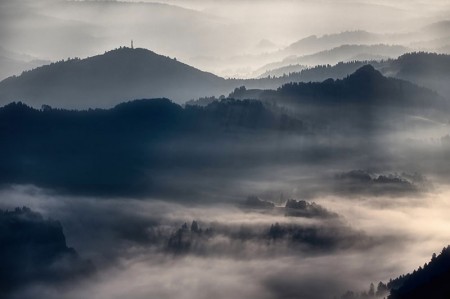 8 сказочных фотографий с туманом и лучами солнца