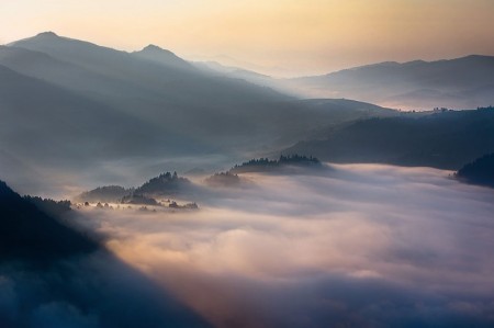 8 сказочных фотографий с туманом и лучами солнца