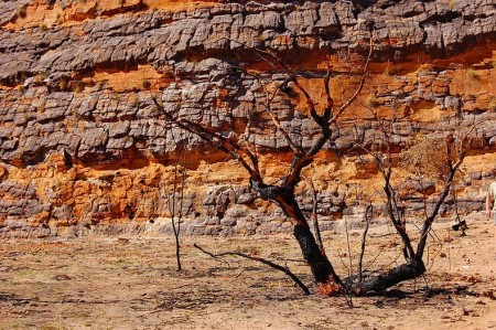 10 фотографий полосатых скал