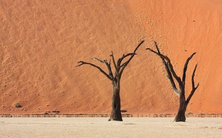 16 фотографий африканского «мёртвого болота»