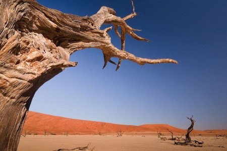 16 фотографий африканского «мёртвого болота»