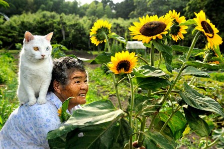 15 добрых фотографий женщины и кота, которые всегда вместе