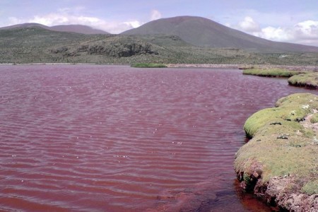 Красная Лагуна в Чили