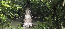 rope bridge