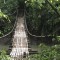 rope bridge